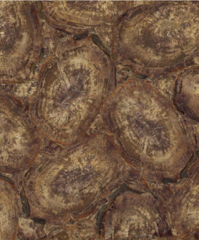 PETRIFIED WOOD BROWN
